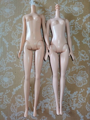 Barbie doll bodies used, set of two, tall and standard