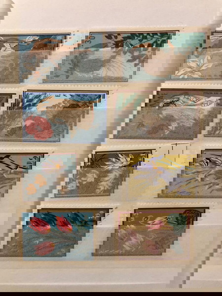 Φύσεως