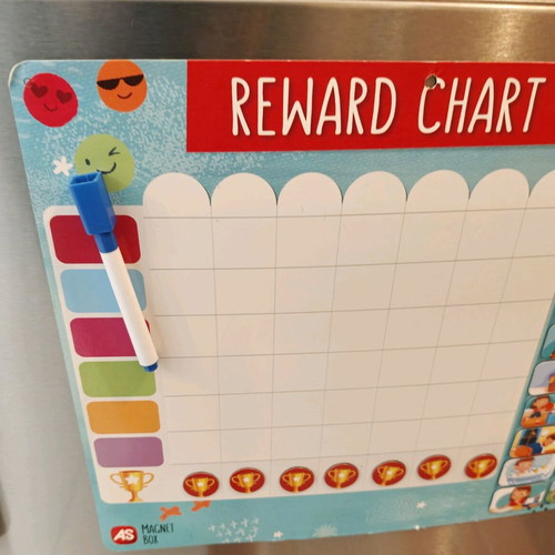 Magnetic reward chart used with 57-piece educational set