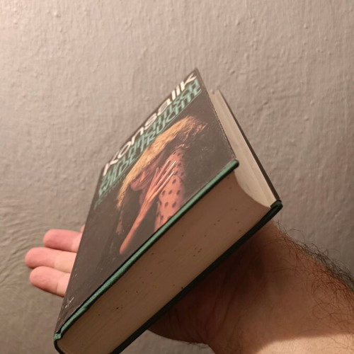 German book Zum Nachtisch Wilde Fruchte Roman used