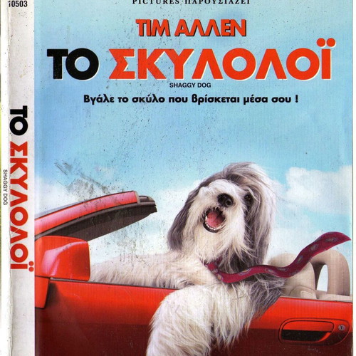 Shaggy Dog DVD used, comedy fantasy with subtitles