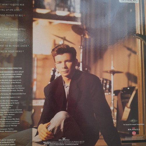 Rick Astley Hold Me In Your Arms vinyl record used, pop