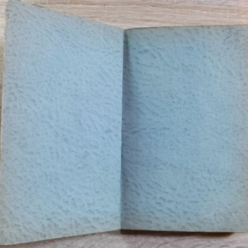 The German Language Without a Teacher used book