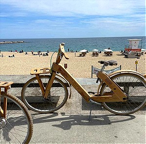 Ξύλινο Ποδήλατο Cocomat