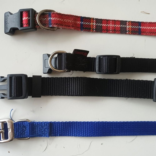 Set of 4 small dog collars