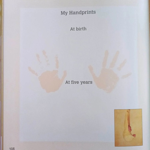 My First Five Years Baby Record Book new, English