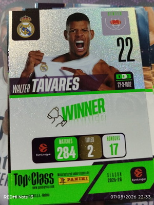 Panini Top Class stickers used