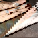  Αιγόκερως, χειροπέδα από ανοξείδωτο ατσάλι.