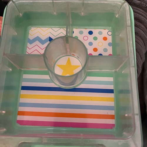 Penny Scallan Mini Bento Box “Dino Rock” children's food container used