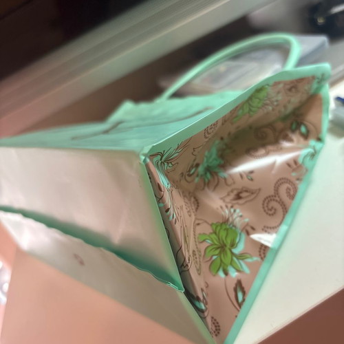 Axel empty plastic gift bag new durable plastic