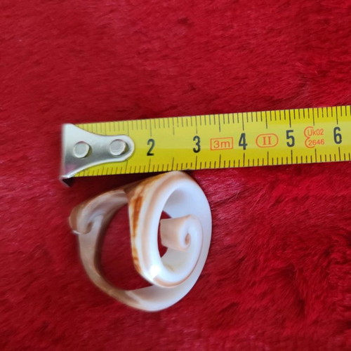 Shell ring used, unique design