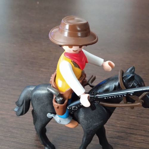 Playmobil Western used