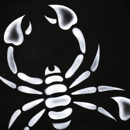 Indico Handmade Scorpion Airbrush T-Shirt Size L XL New