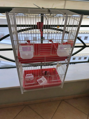 Double birdcage used like new