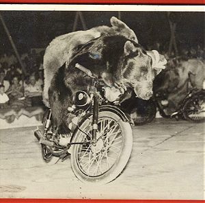 καρτ ποσταλ Κίελο αρκούδες οδηγοί δικύκλων σε τσίρκο αχρησιμοποίητο