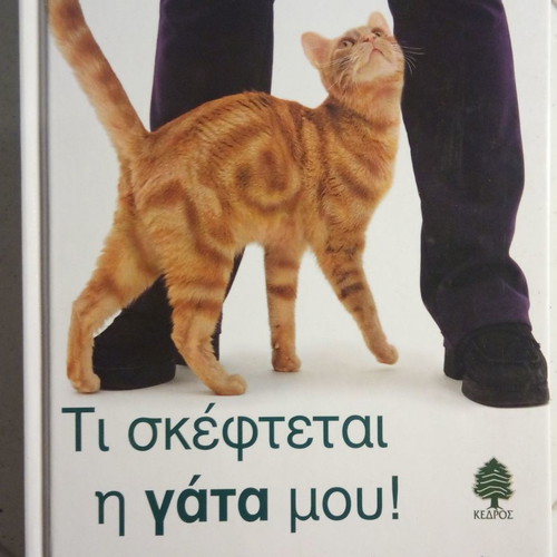 What My Cat Is Thinking! Used Pet Owner's Guide Book