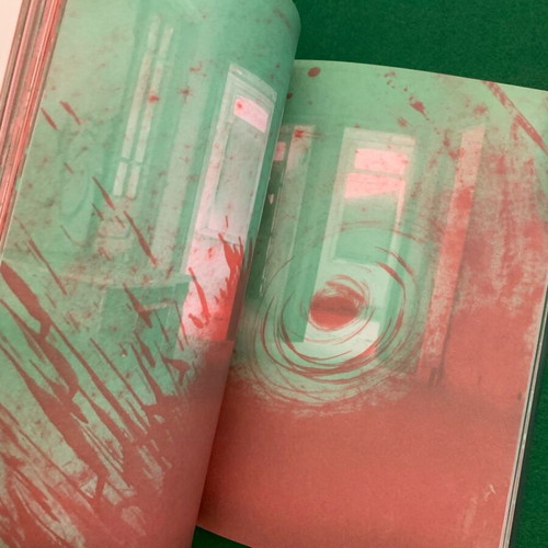 Psyche Bipolarity and Art interactive book used