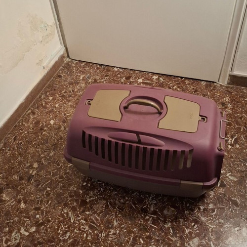 Cat and dog carrier basket