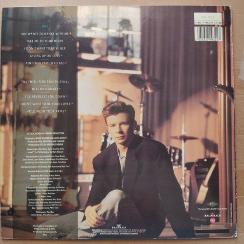 Rick Astley Hold Me In Your Arms LP like new, electronic