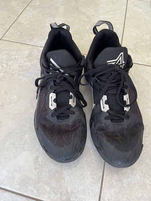 Nike Giannis Immortality 2 athletic shoes used, size 45.5, black