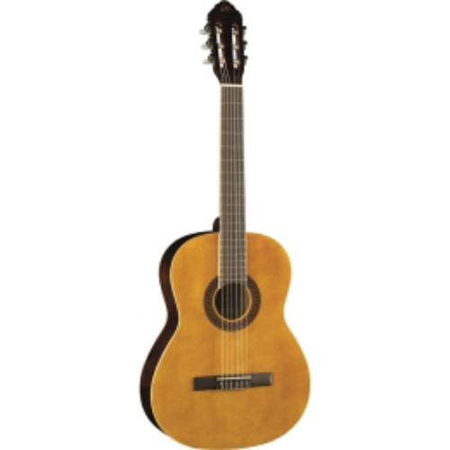 Classical guitar 4/4 CS10 with case