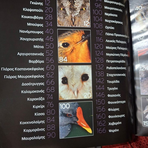 Fterotos Kosmos book about the beauty of birds by G. Avagianou