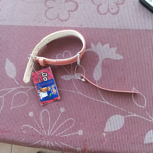Doxtasy leather dog collar pink 30cm x 15mm new