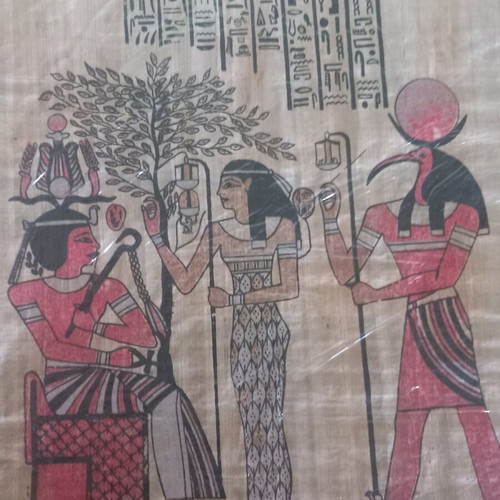 Papyrus from Egypt used
