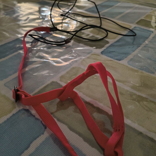 Hanging Bird Toys and Safety Harnesses for Medium Parrots new