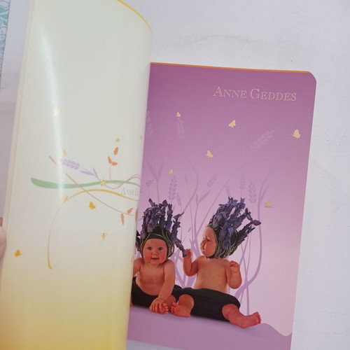 Anne Geddes notebook new