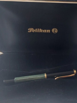 Pelikan 400 fountain pen used with 14k gold nib in case