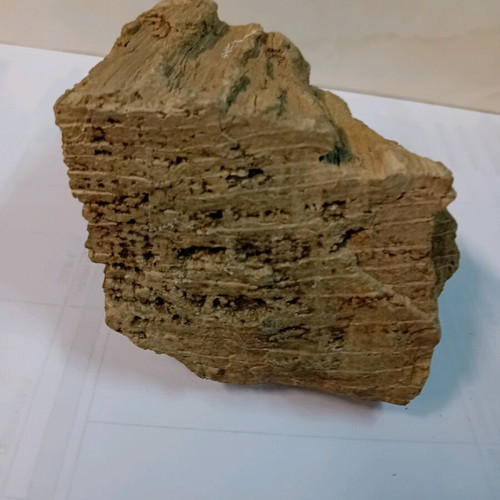 Petrified wood used, 550 grams