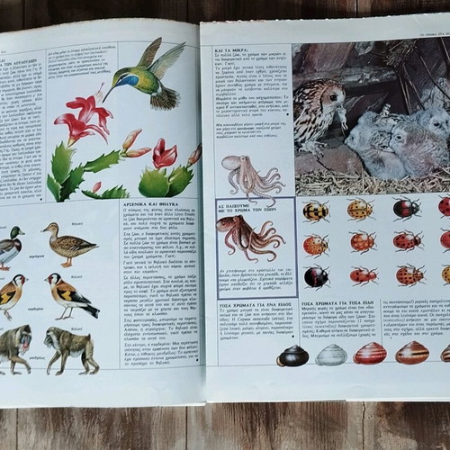 Vintage school encyclopedia Gnorizo used