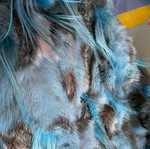 Replay coat new, blue