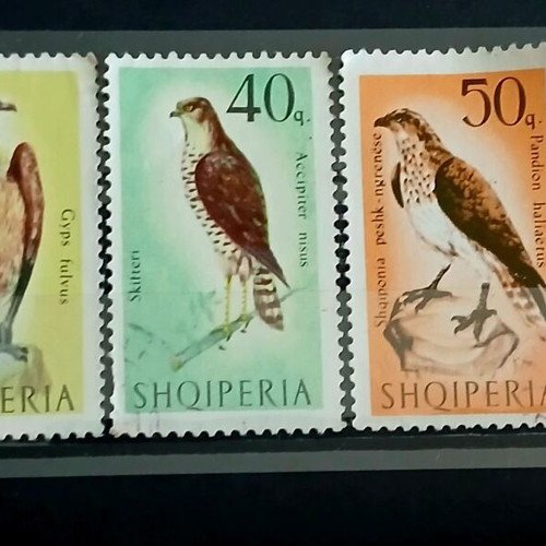 Collection of 6 Albanian stamps 1966 Birds of Prey series new