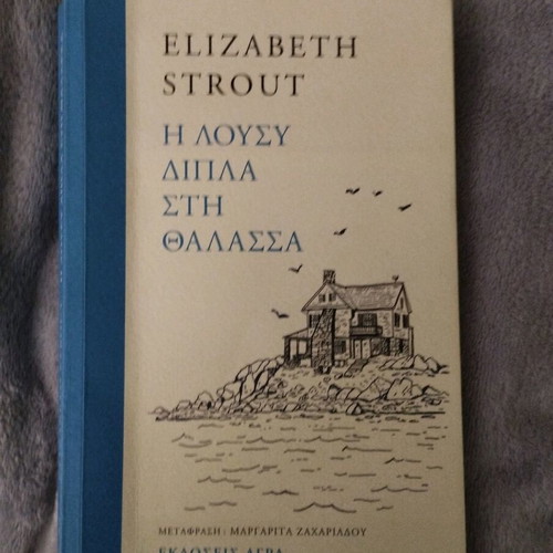 The Lucy by the Sea book like new