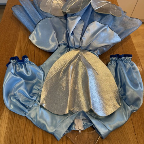 Shell carnival costume for girls like new, age 5-7