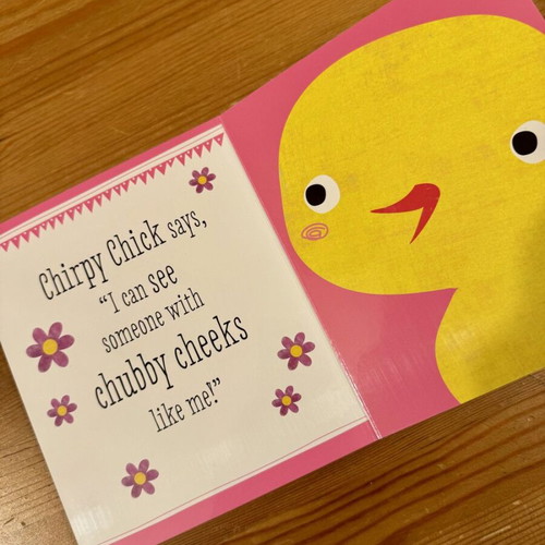 Peekaboo! English children's book like new with mirror