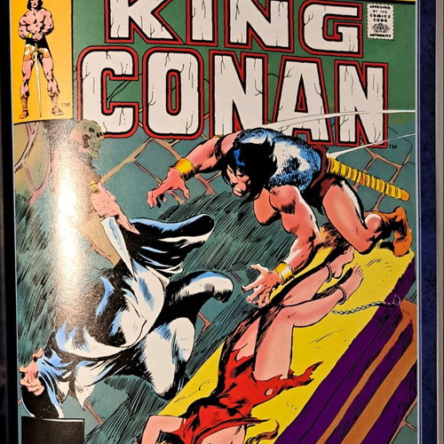 The Chronicles of King Conan Vol. 2 used, Vengeance from the Desert