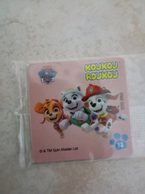 Αυτοκόλλητο Paw Patrol Koukou Roukou No 13 καινούργιο