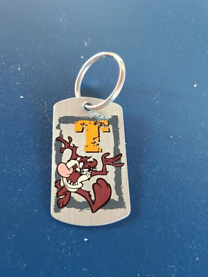 keychain taz