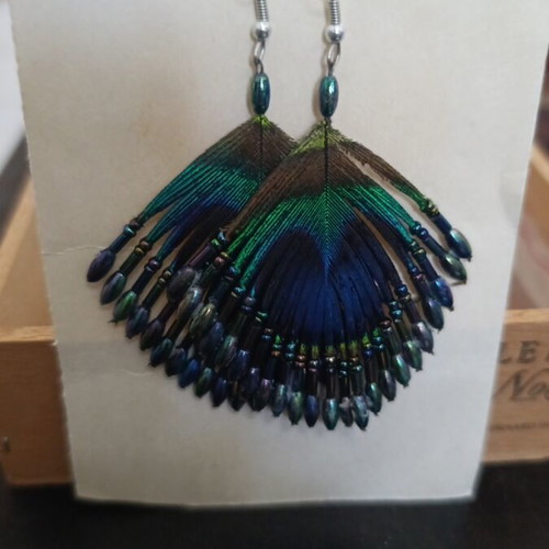 Earrings with real feather new, multicolor