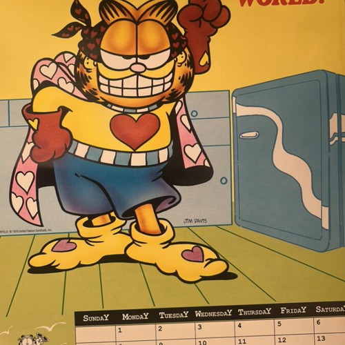 Garfield 1978 calendar used