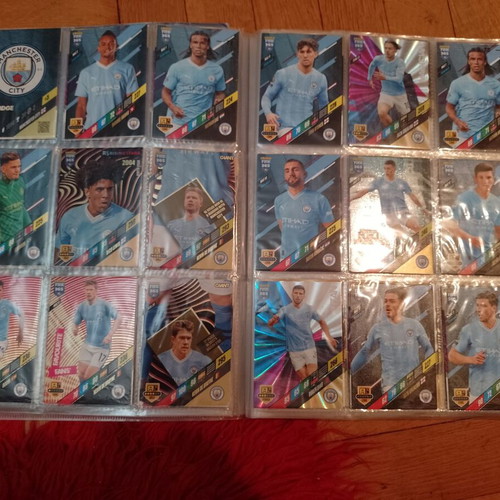 Panini FIFA 365 Adrenalyn XL 2024 album used