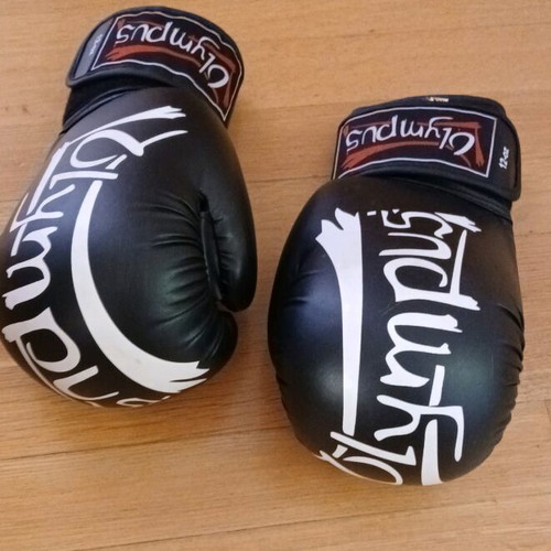 Olympus boxing martial arts gloves 12 Oz like new