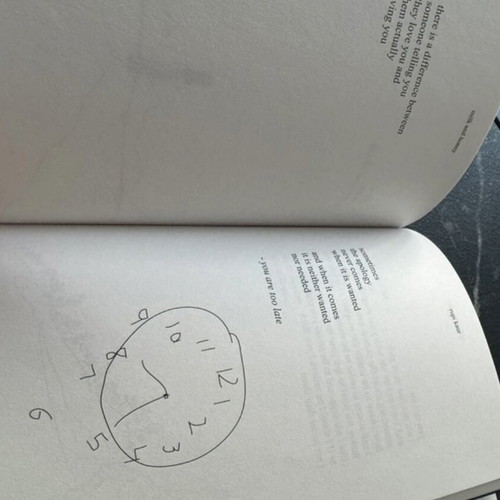 Book Milk and Honey by Rupi Kaur used