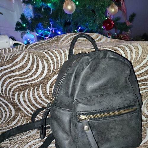 Small backpack used with small and large pocket