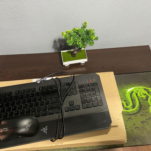 Razer gaming PC peripheral set with keyboard, Deathadder mouse, and mouse pad new