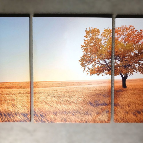 Triptych canvas set used with solitary tree in golden meadow