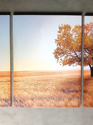 Triptych canvas set used with solitary tree in golden meadow